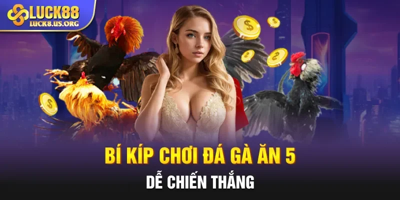 Bí kíp chơi đá gà ăn 5 dễ chiến thắng