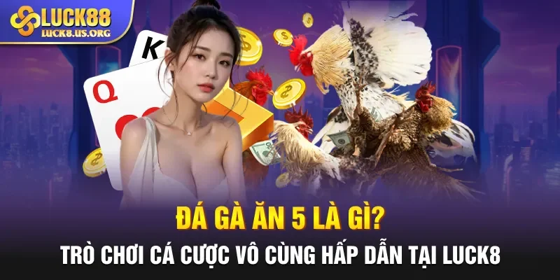 Đá Gà Ăn 5 Là Gì? Trò Chơi Cá Cược Hấp Dẫn Tại Luck8