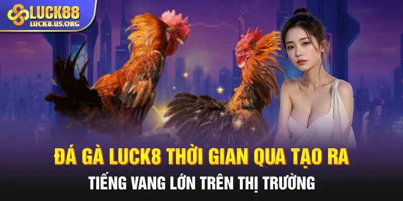 Đá gà Luck8 thời gian qua tạo ra tiếng vang lớn trên thị trường