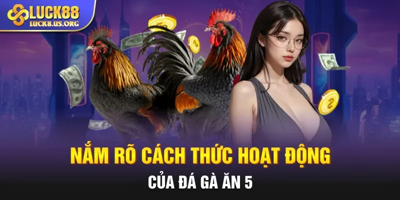 Nắm rõ cách thức hoạt động của đá gà ăn 5
