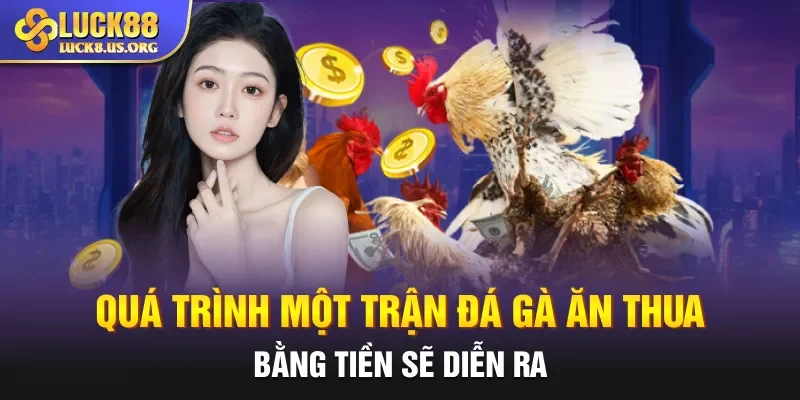 Quá trình một trận đá gà ăn thua bằng tiền sẽ diễn ra