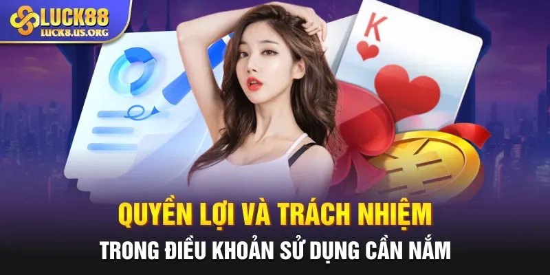 Quyền lợi và trách nhiệm trong điều khoản sử dụng cần nắm