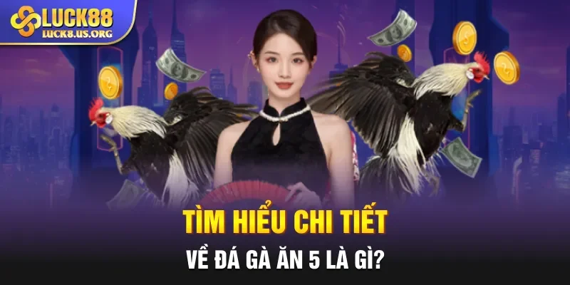 Tìm hiểu chi tiết về đá gà ăn 5 là gì?