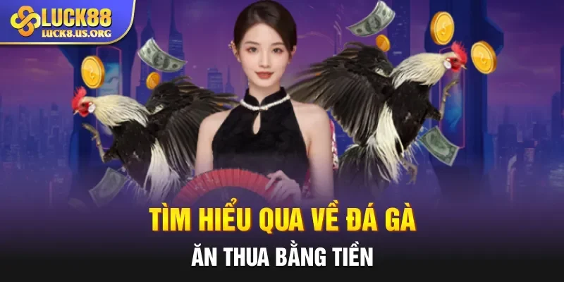 Tìm hiểu qua về đá gà ăn thua bằng tiền