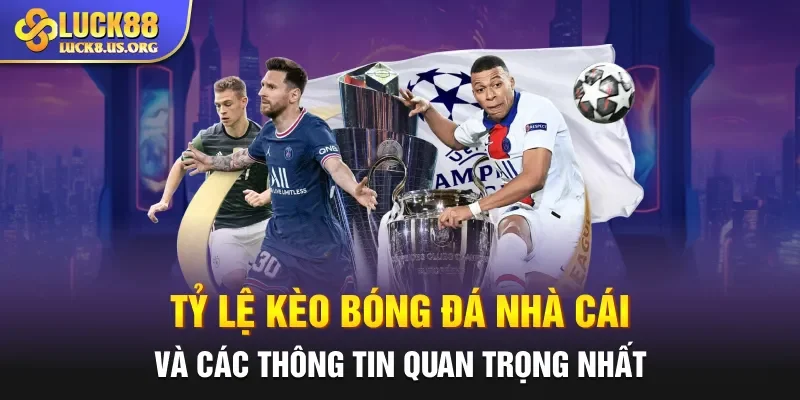 Tỷ Lệ Kèo Bóng Đá Nhà Cái Và Các Thông Tin Quan Trọng Nhất